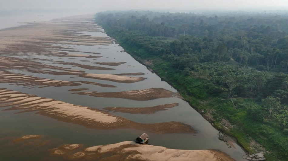 Seca deixa afluentes do rio Amazonas em 'situação crítica'