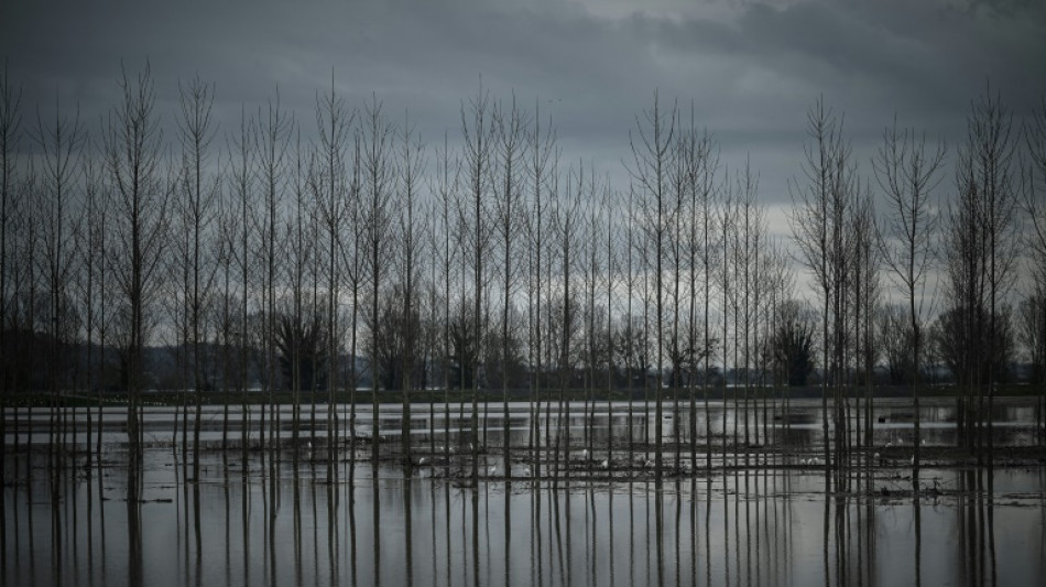 Météo: la Seine-et-Marne placée en vigilance orange en raison du risque de crues