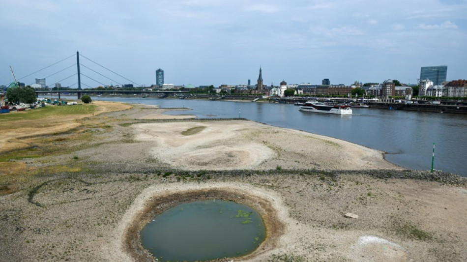 Sur le Rhin assoiffé, le transport fluvial au régime sec 