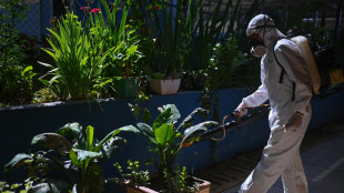 Ministero a Regioni,contro Dengue sorveglianza e bonifiche