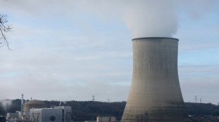 Nucléaire: la nouvelle autorité de sûreté démarre mais beaucoup reste à faire