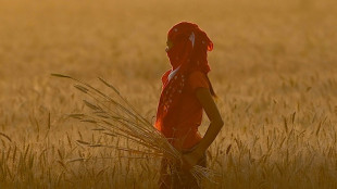 Wheat-laden trucks, ships stranded at Indian port