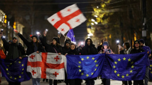 Thousands in Georgia human chain as pro-EU protests enter 2nd month