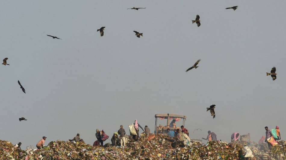 World must act to stem surge of polluting trash, UN warns