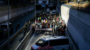 Polizei in Den Haag nimmt hunderte Klima-Aktivisten bei Straßenblockade fest