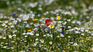 EuGH: Keine Umweltprüfung bei Verordnungen zu Natura-2000-Schutzgebieten nötig