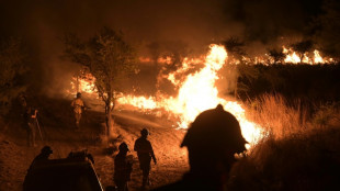 Incendios arrasan humedal argentino de Iberá y causan daños incalculables