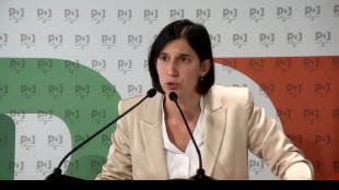 Schlein, in Ue difenderemo le priorità del Pse e del Pd