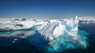 Melting ice could slow vital Antarctic ocean current: study