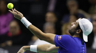 Lettera d'amore Berrettini al tennis, mi hai insegnato a lottare