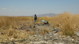 "Mon Dieu, faites qu'il pleuve": le lac Titicaca proche de son plus bas historique