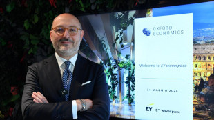 Rocco (Ey), meno spinta dagli investimenti privati nel 2024