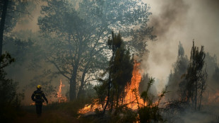 La canicule se décale à l'est, 17.000 hectares brûlés en Gironde