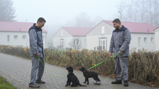 Puppy love as Czech prison inmates train assistance dogs