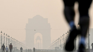 India's capital chokes in smog after firework ban flouted