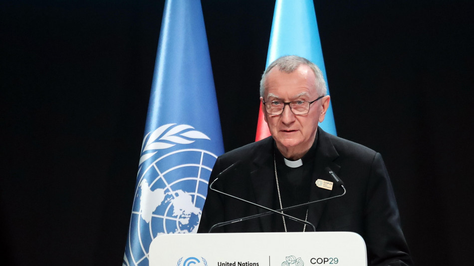 Parolin: 'La Siria preoccupa, regime spazzato via in poco tempo'