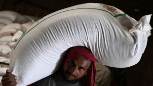 Bitter harvest for Indian farmers after wheat export ban