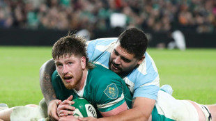 Rugby: l'Irlande aux deux visages bat l'Argentine en serrant les dents