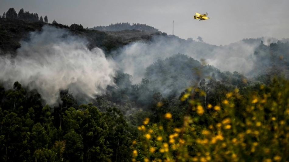 Senioren-Paar stirbt in Portugal bei Flucht vor Flammen