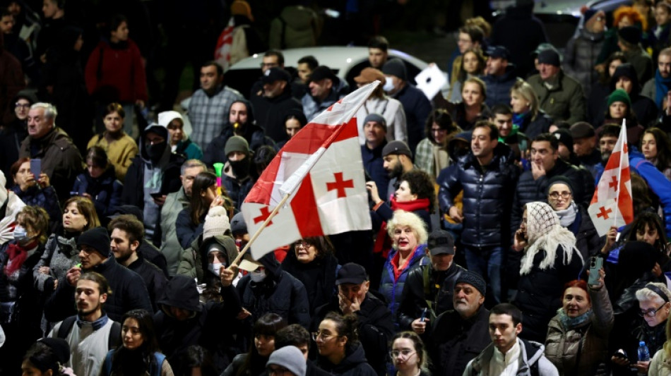 Protests in Georgia after PM delays EU bid to 2028