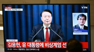 South Korea president declares martial law 