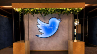 Fours à pizza et oiseaux bleus : Twitter brade le mobilier