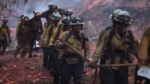 Arrivata a Los Angeles squadra dei vigili del fuoco dal Messico