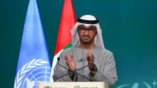 COP hosts UAE, Azerbaijan, Brazil announce climate 'troika'