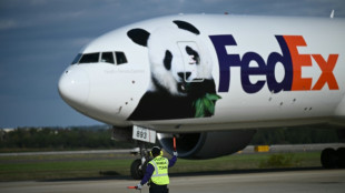 Giant pandas flown to US from China aboard 'Panda Express'