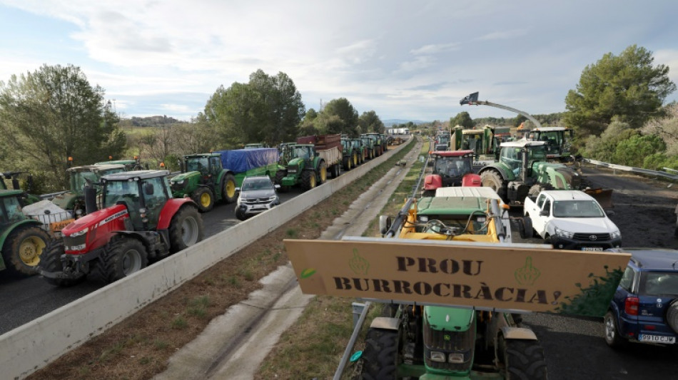 L'autoroute reliant l'Espagne à la France coupée par les agriculteurs 